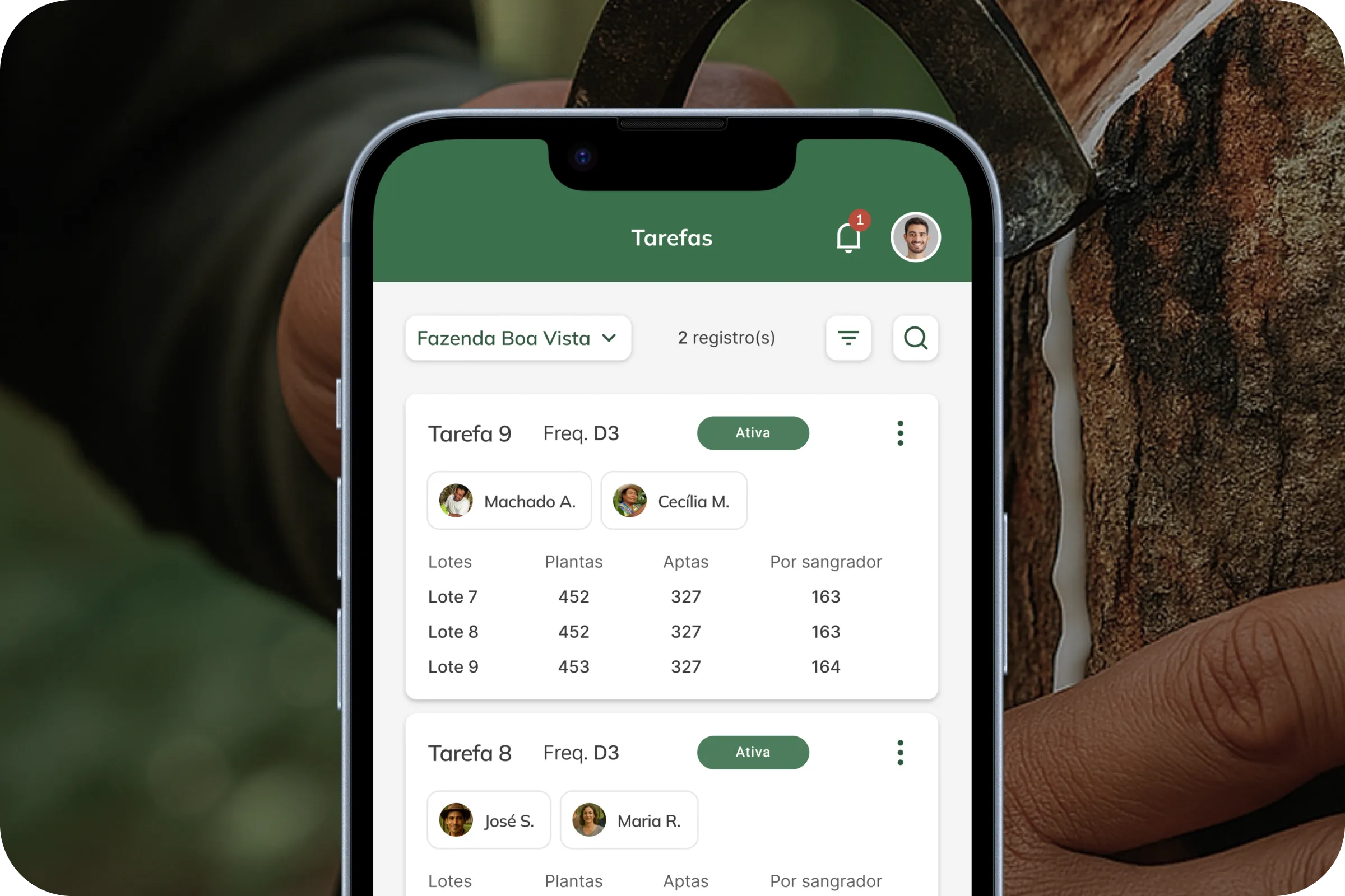 Apontamento de sangrias