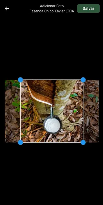 Recortar foto selecionada Recortar foto adicionada