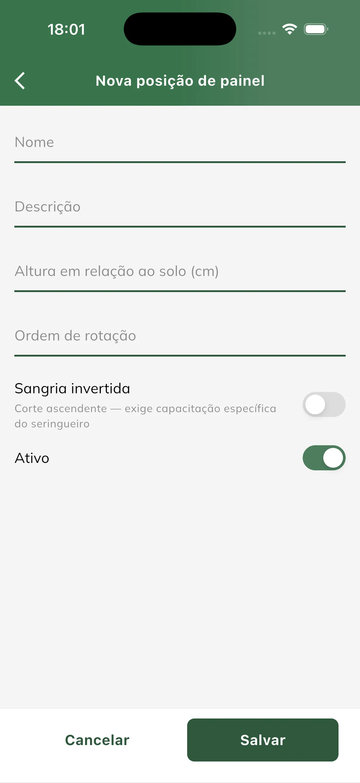 Campos de uma nova posição de painel Formulário de nova posição de painel