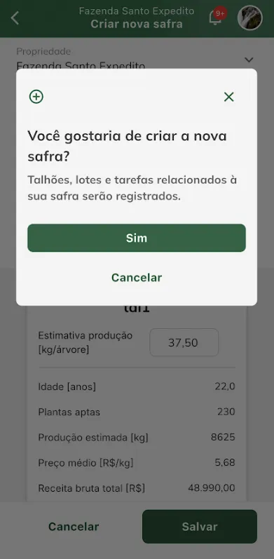 Confirmar criação de safra
