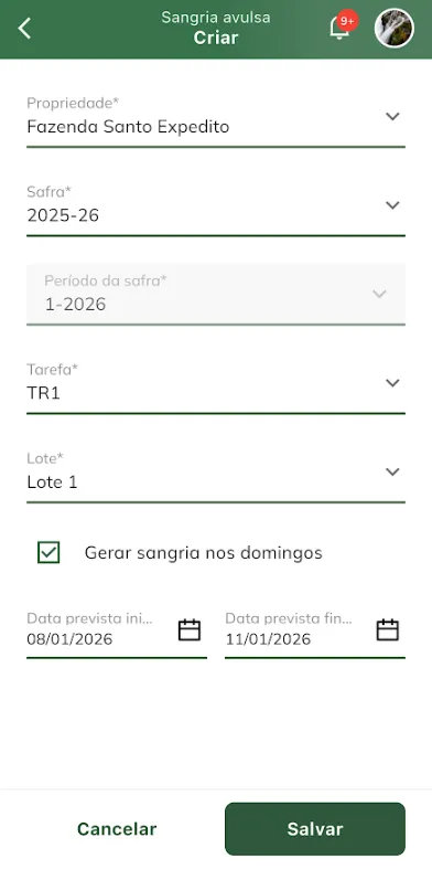 Confirmar geração de sangrias avulsas