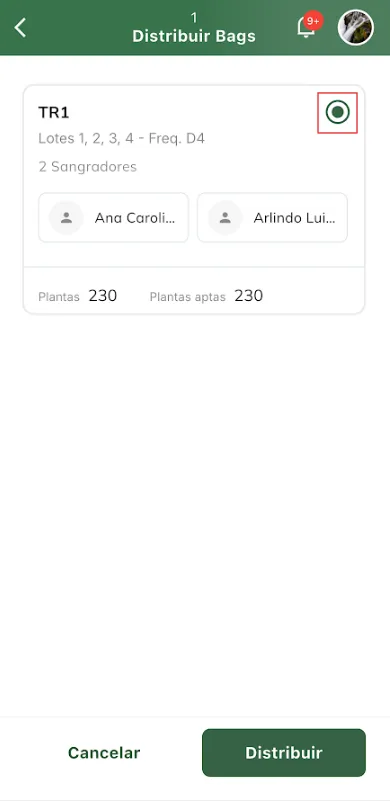 Distribuir bags para a tarefa