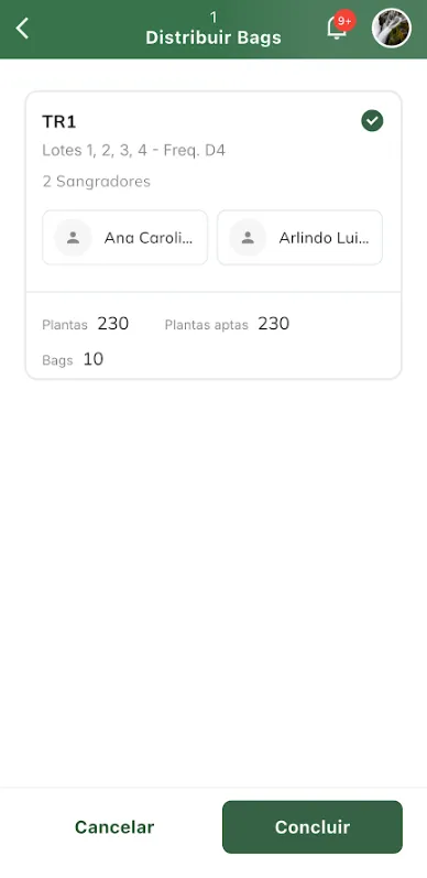 Concluir distribuição de bags da coleta