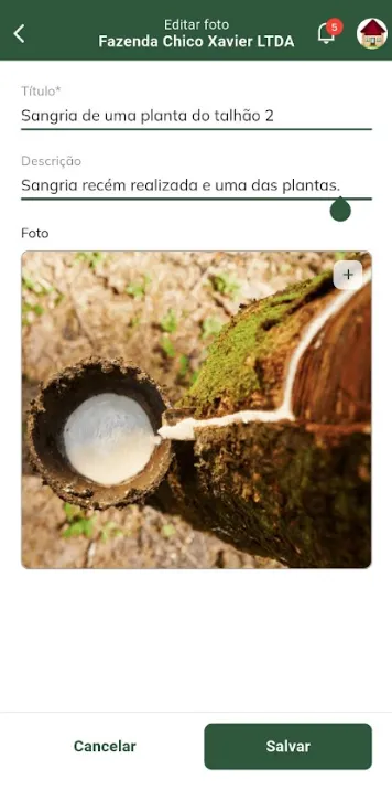 Salvar edição da foto da propriedade Salvar edição de foto