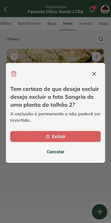 Confirmar exclusão da foto da propriedade confirmar exclusão da foto
