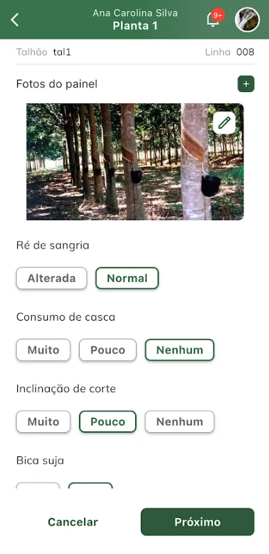 Avaliação de uma planta