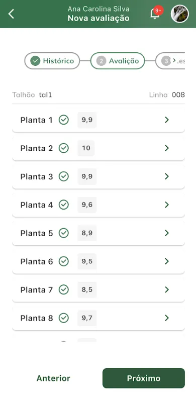 Avaliação de todas as plantas realizada