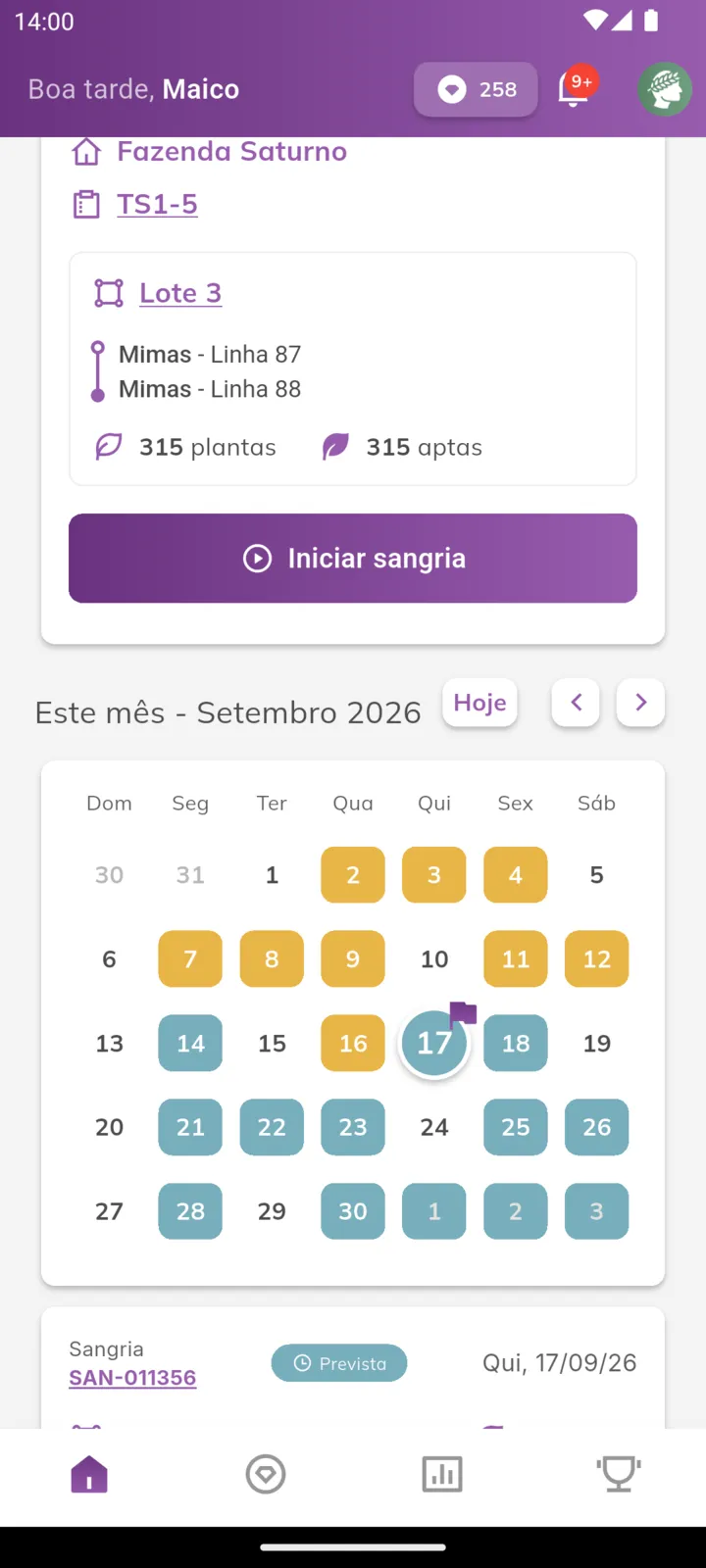 Calendário do mês