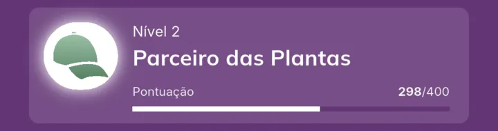 Card de nível no perfil