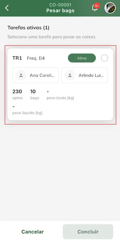 Selecionar tarefa para pesar bags