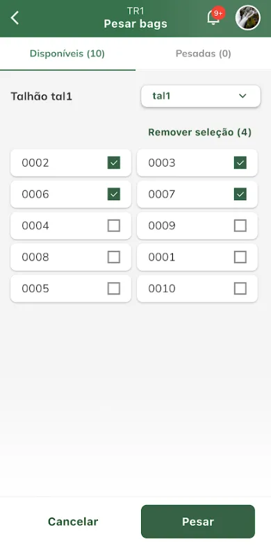 Selecionar bags para pesar