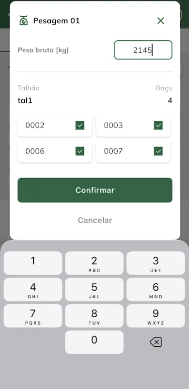 Informar peso bruto das bags selecionadas