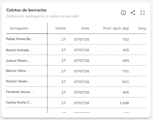 Coletas de borracha por seringueiro