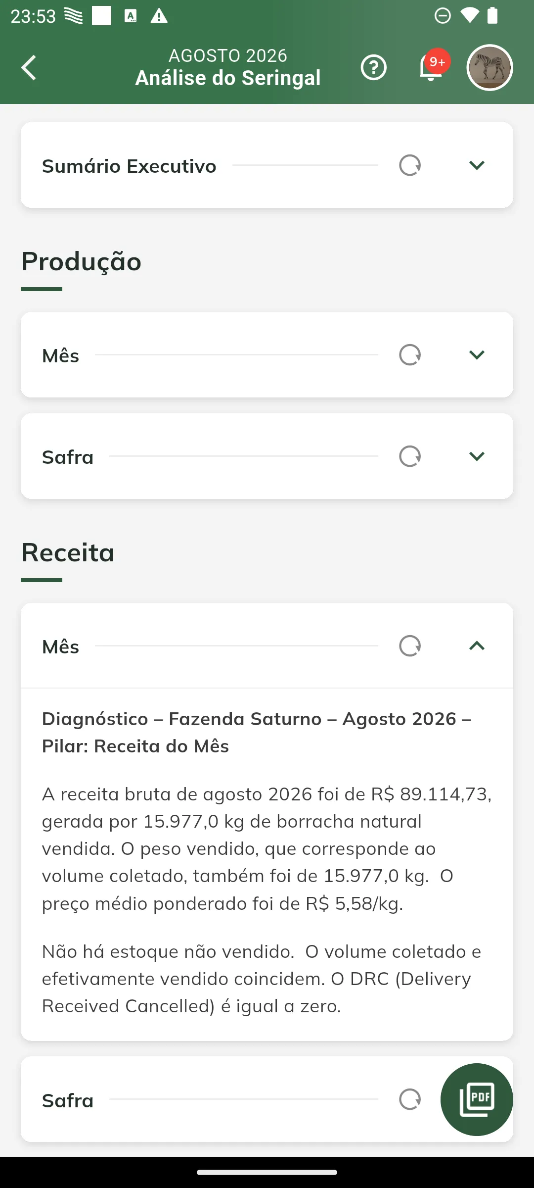Diagnóstico de receita do mês