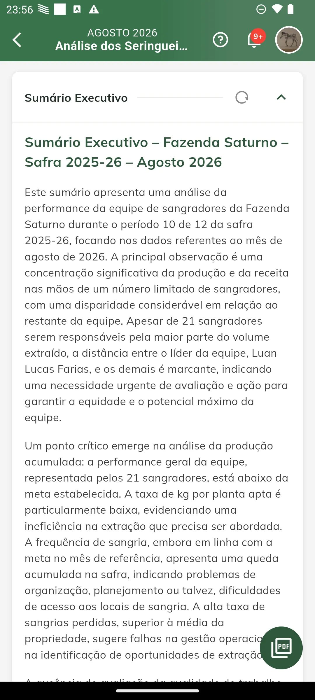 Sumário Executivo da AS-000019