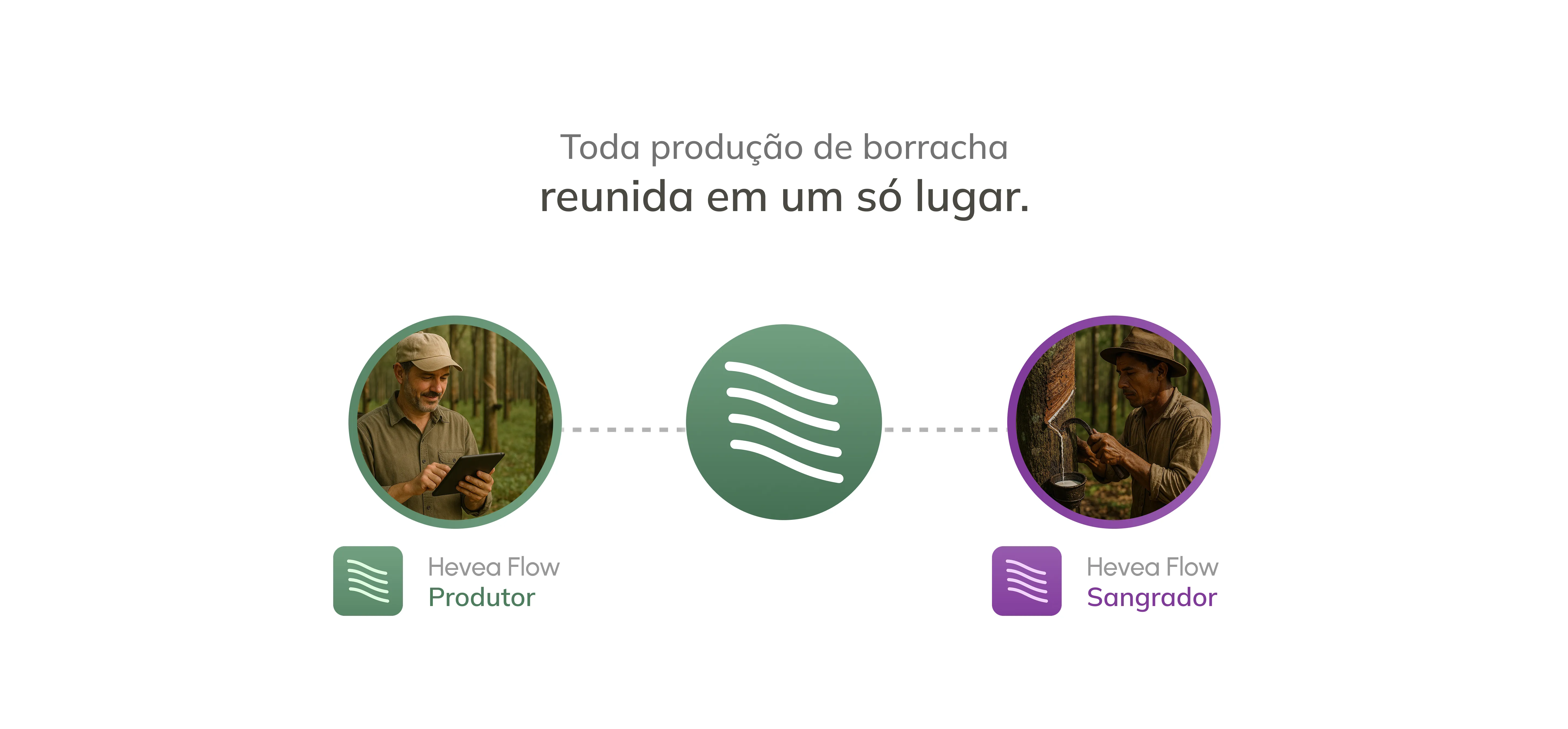 Hevea Flow Produtor e Sangrador